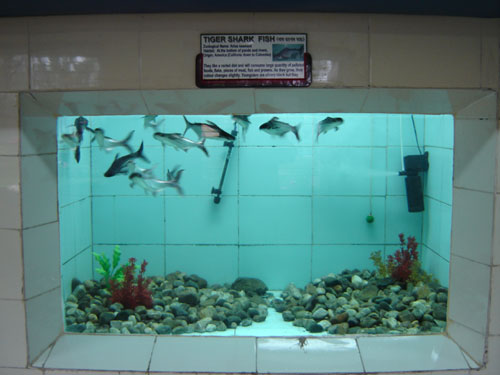 Aquarium