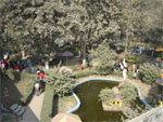 Science Park